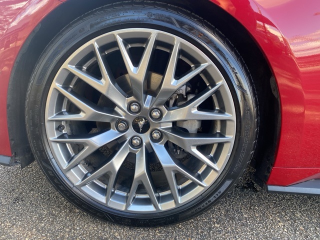 Used Car 2024 Ford Mustang  Ecoboost Premium For Sale In San Antonio, Texas
