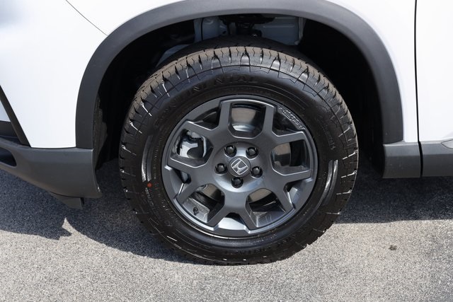 2025 Honda Pilot TrailSport - 8