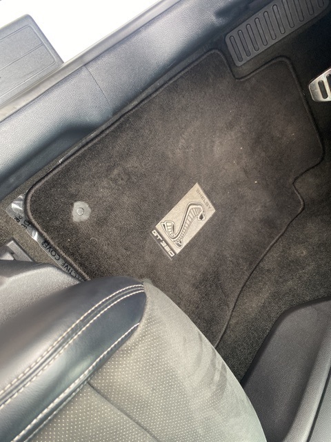 Used Car 2017 Ford Mustang  Shelby Gt350 For Sale Under $60,000 In San Antonio, Texas