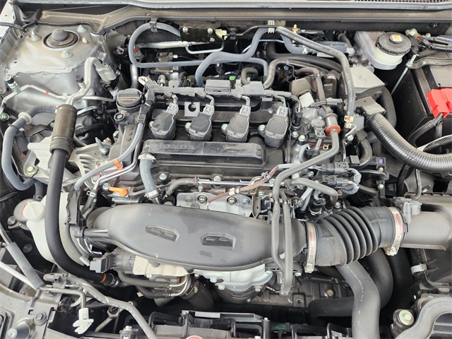 2024 Honda Civic EX-L  at Emmons Autoplex