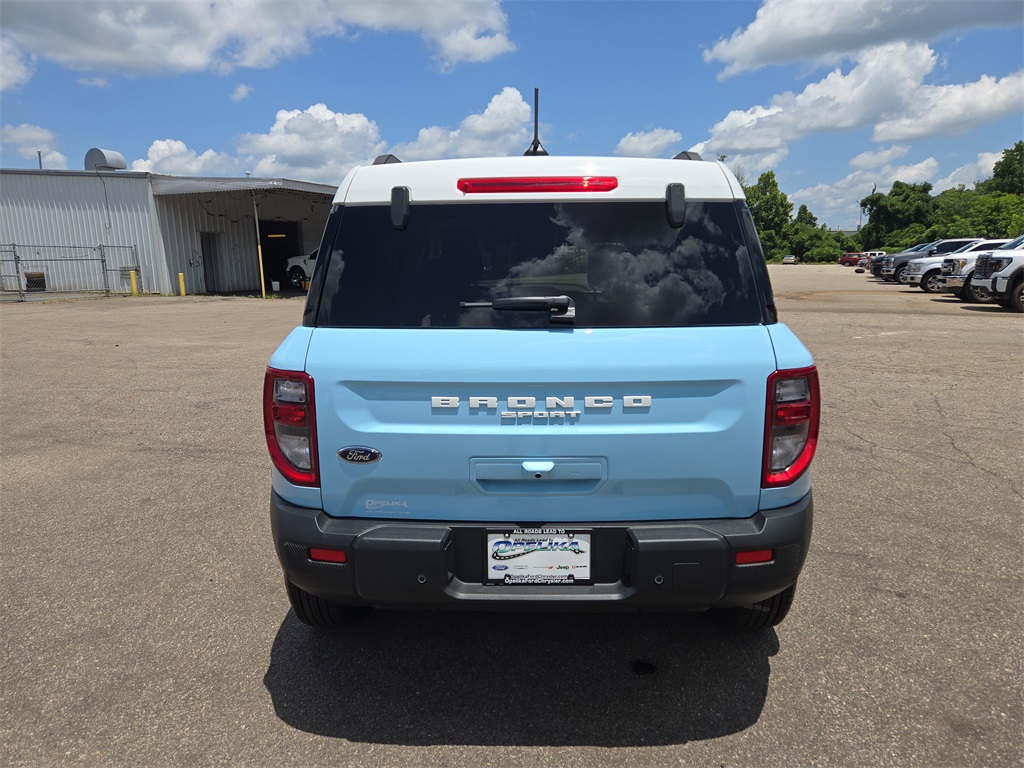 Image-1