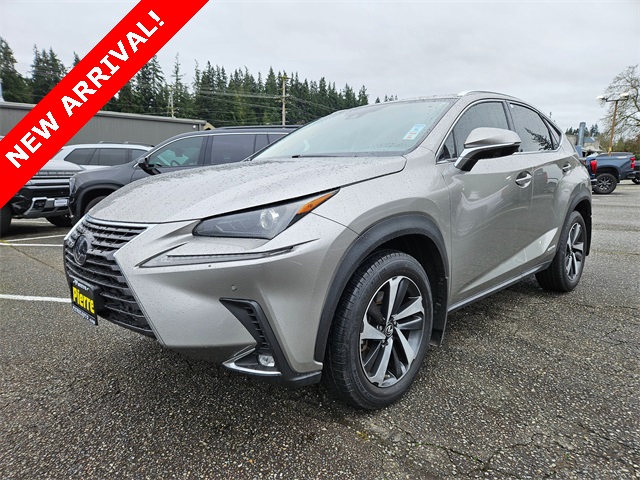 2021 Lexus NX Hybrid 300h AWD