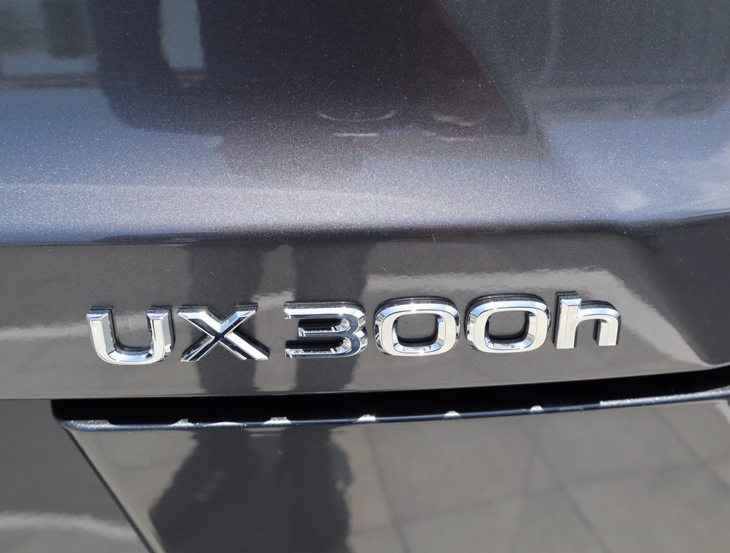 Thumbnail: 2025 Lexus UX - 21