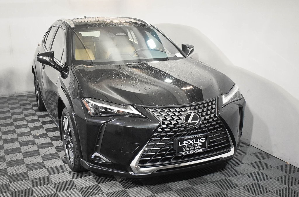 2025 Lexus UX Hybrid 300h Premium AWD