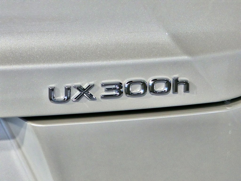 Thumbnail: 2025 Lexus UX - 11