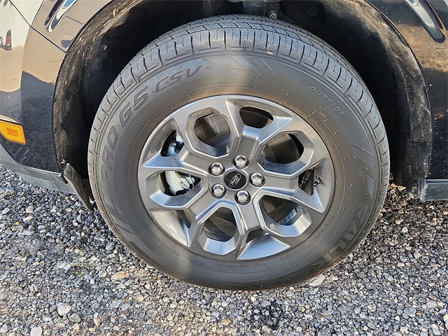 Used Car 2023 Ford Maverick  Xlt For Sale Under $25,000 In Plainview, Texas