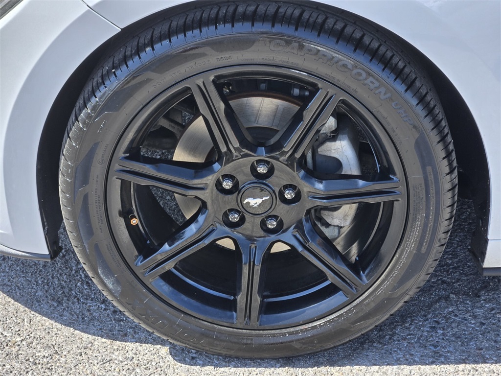 2016 Ford Mustang EcoBoost Premium photo 8