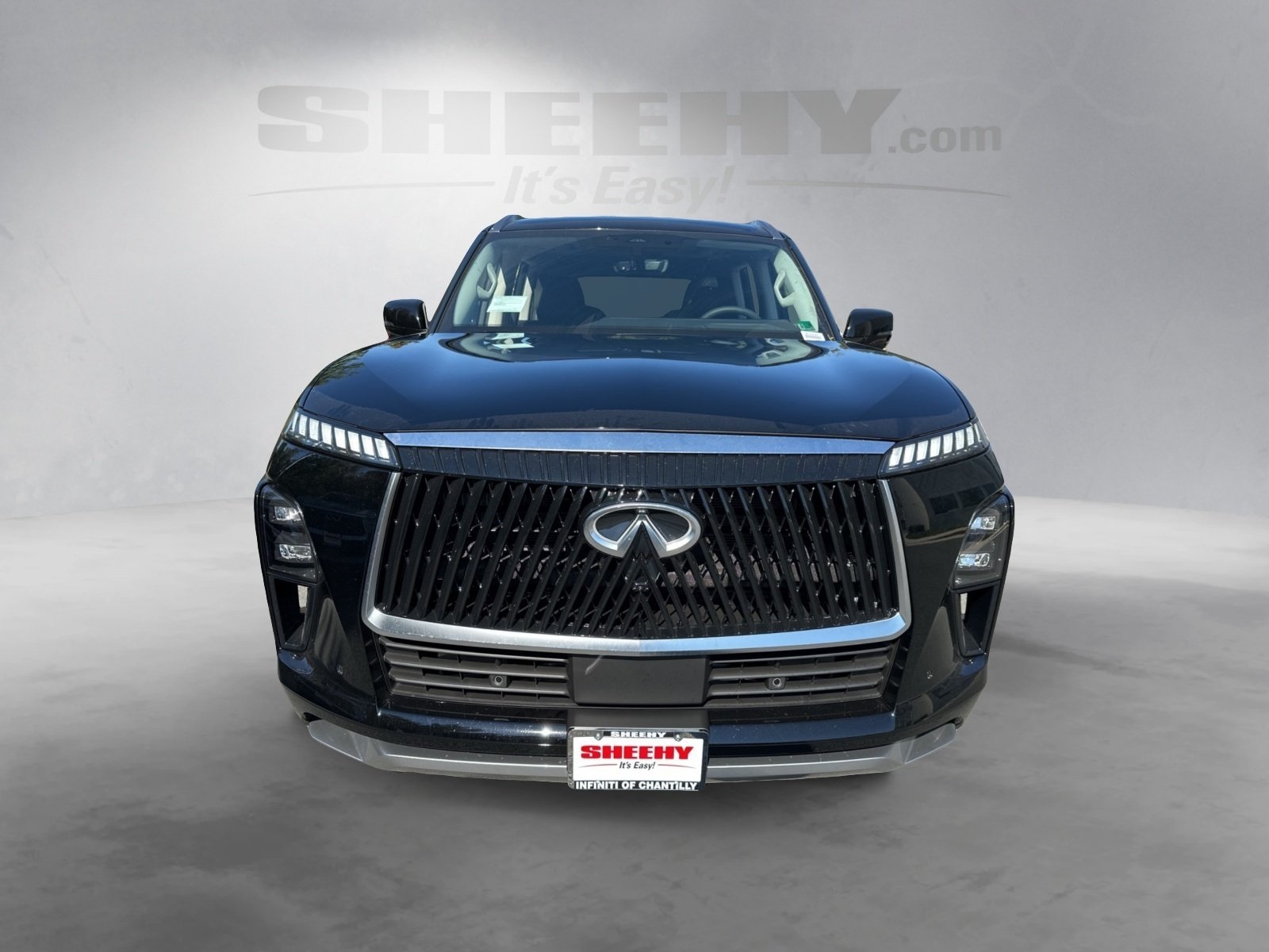 2026 Infiniti QX80 Pure photo 2
