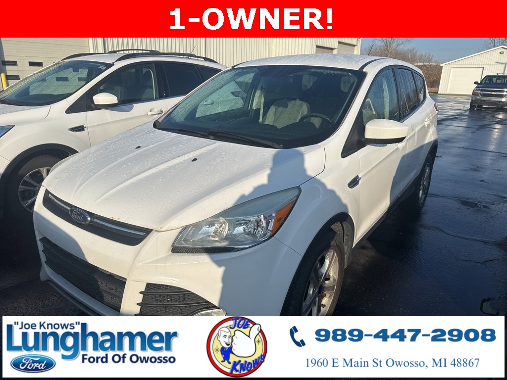 2015 Ford Escape SE's photo