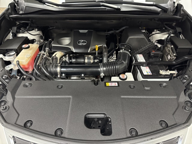 2020 Lexus NX 300 photo 22