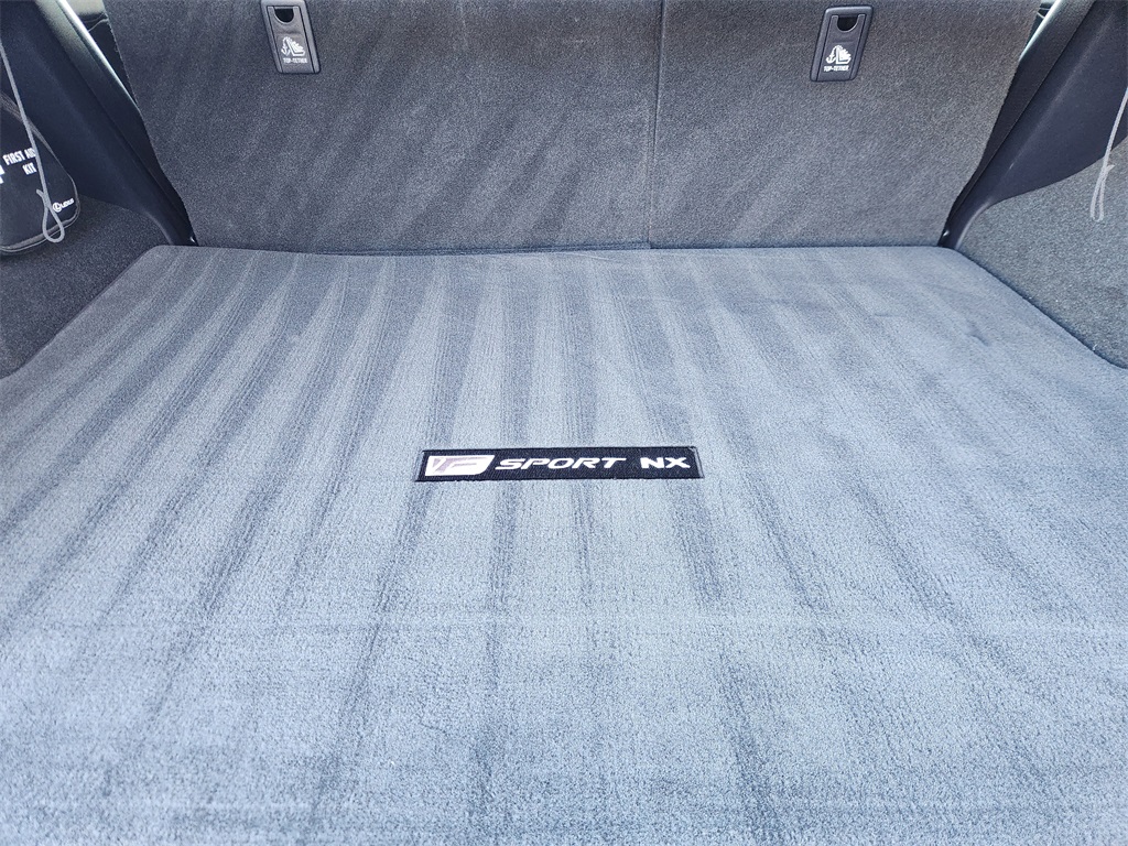 2020 Lexus NX 300 F Sport White at Shottenkirk Kia Fort Bend