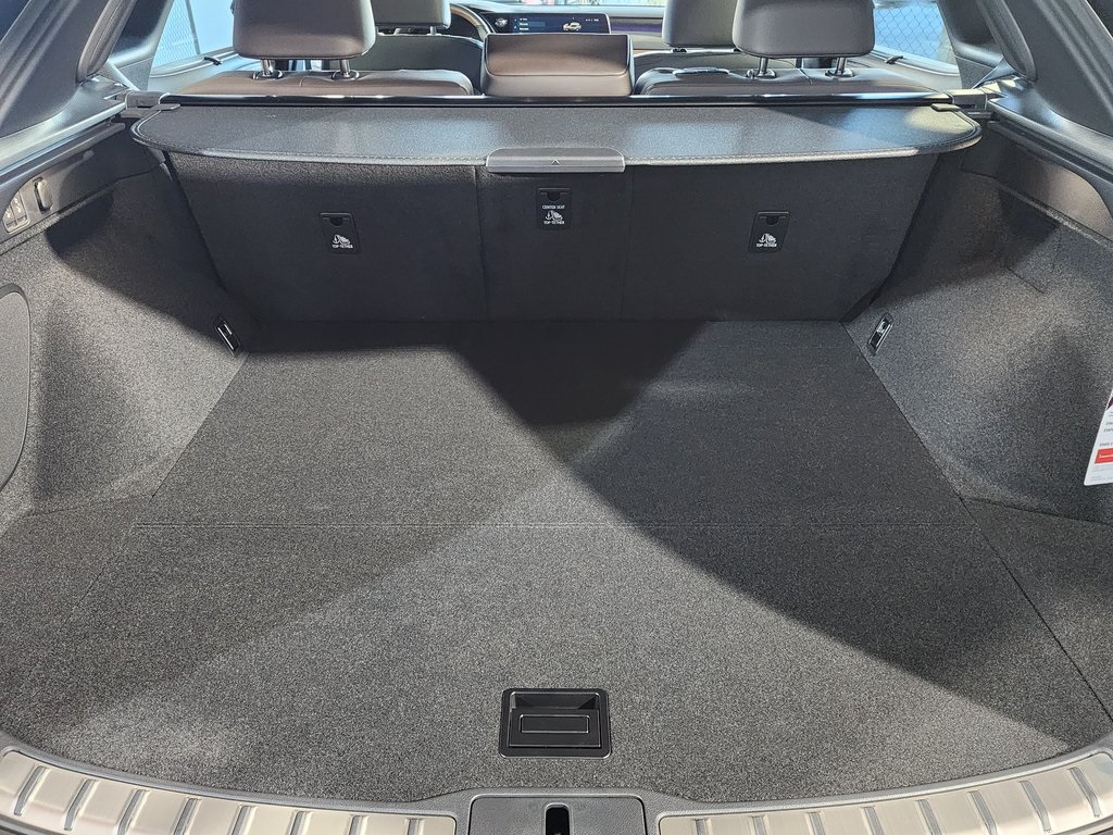 Thumbnail: 2025 Lexus RX - 29