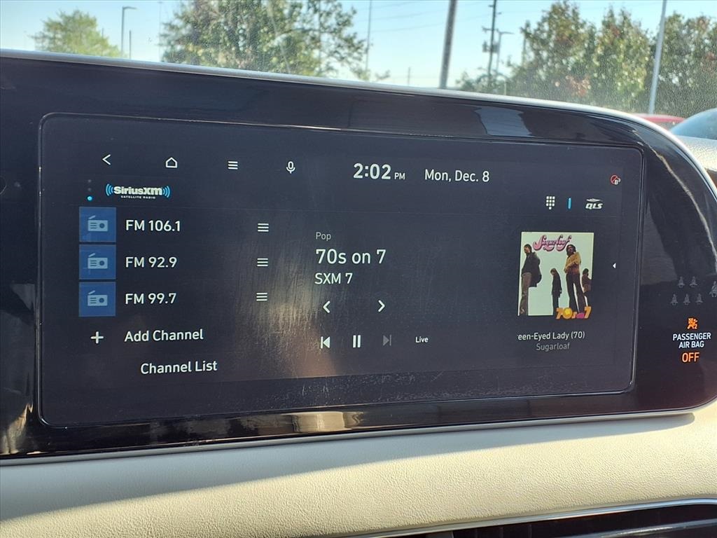 2020 Hyundai Palisade Limited Blue at DeMontrond Gulf Freeway