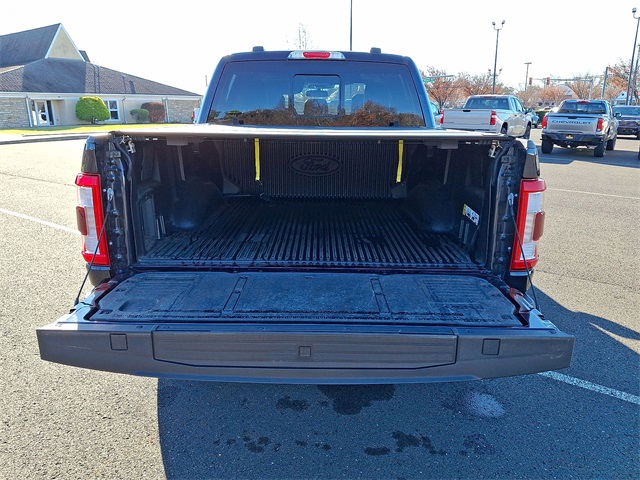 2023 Ford F-150 Platinum for sale at PATRIOT CHEVROLET OF WARMINSTER