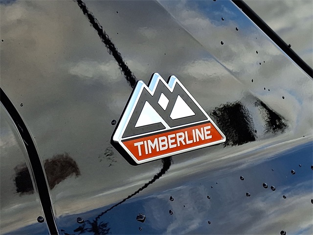 2021 Ford Explorer Timberline for sale at PATRIOT CHEVROLET OF WARMINSTER