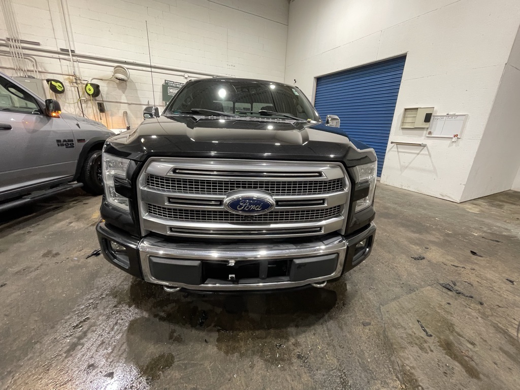 2015 Ford F-150 Platinum photo 2