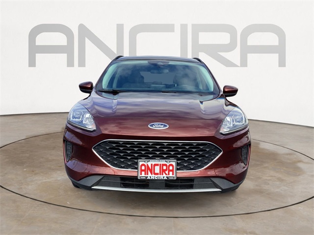 2021 Ford Escape  Se In San Antonio, Texas
