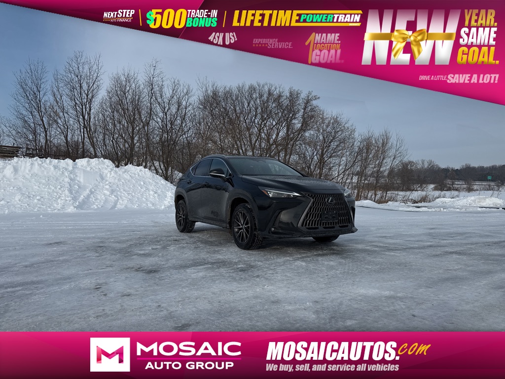 2022 Lexus NX 250's photo