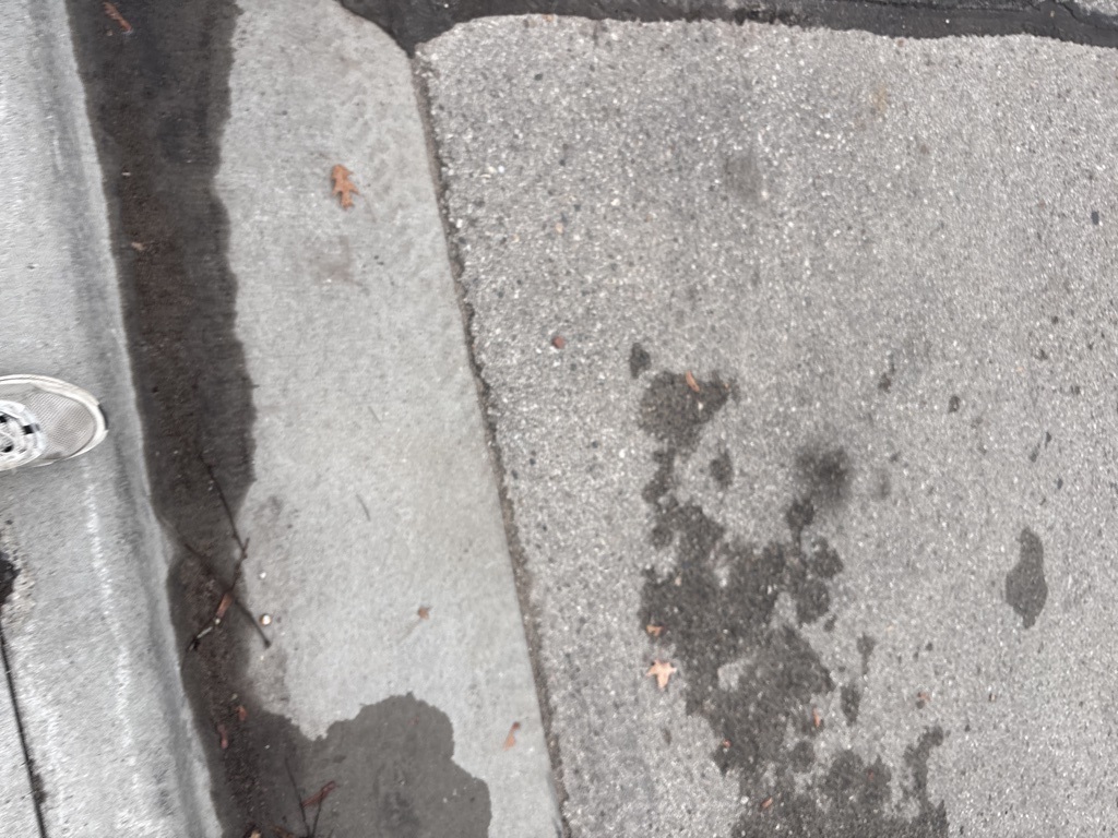 2024 Ford Expedition Max