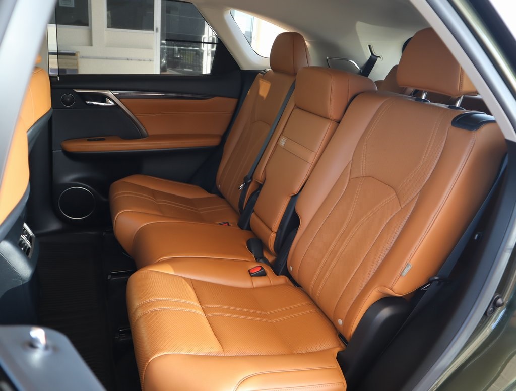 Thumbnail: 2022 Lexus RX - 22