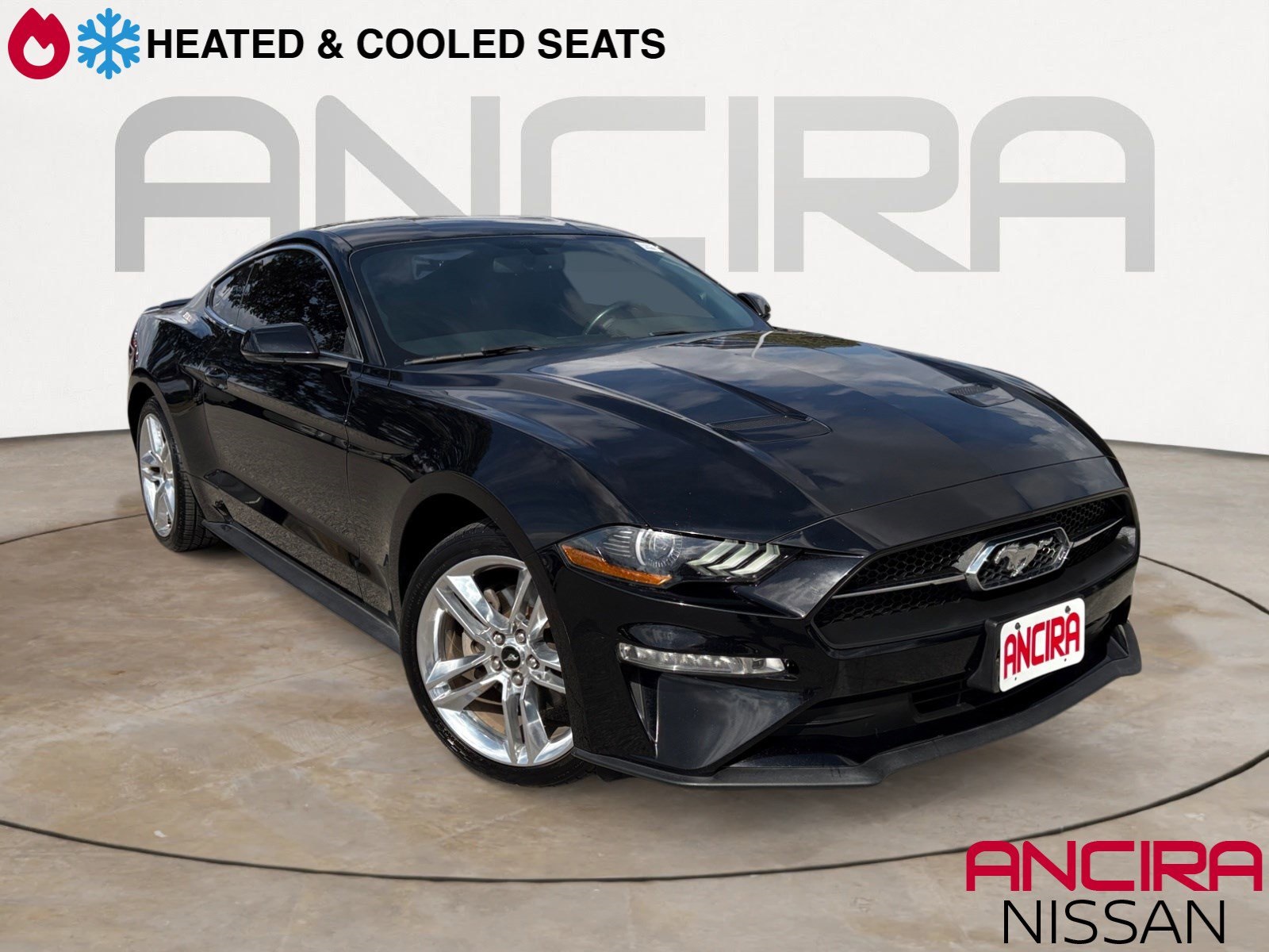 Used Car 2020 Ford Mustang  Ecoboost Premium For Sale Under $25,000 In San Antonio, Texas