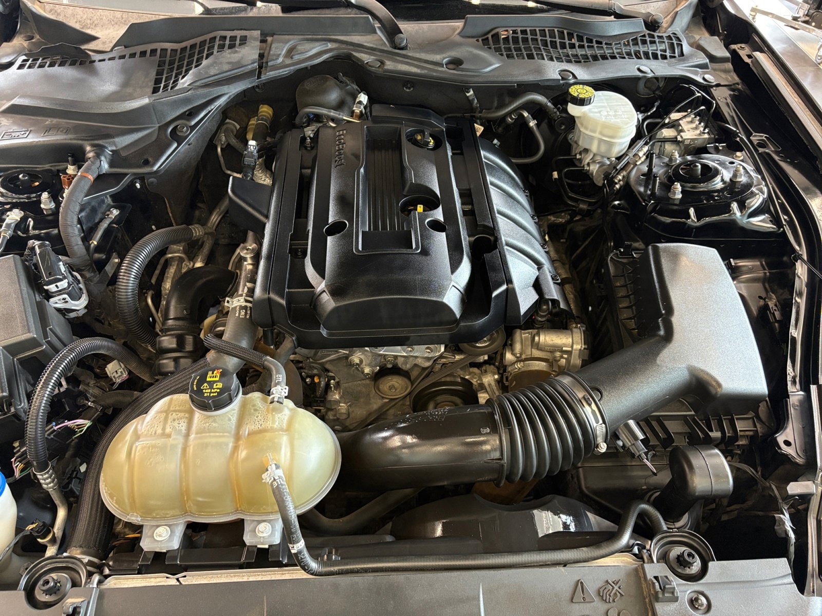 Used Car 2020 Ford Mustang  Ecoboost Premium For Sale Under $25,000 In San Antonio, Texas