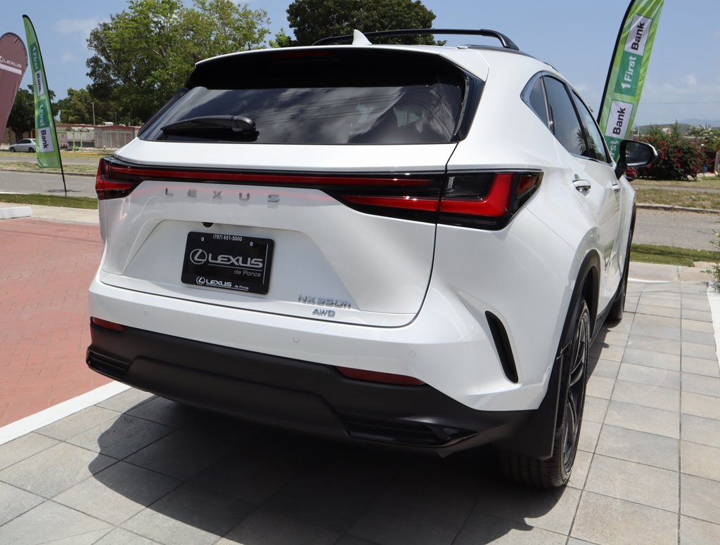 Thumbnail: 2025 Lexus NX - 24