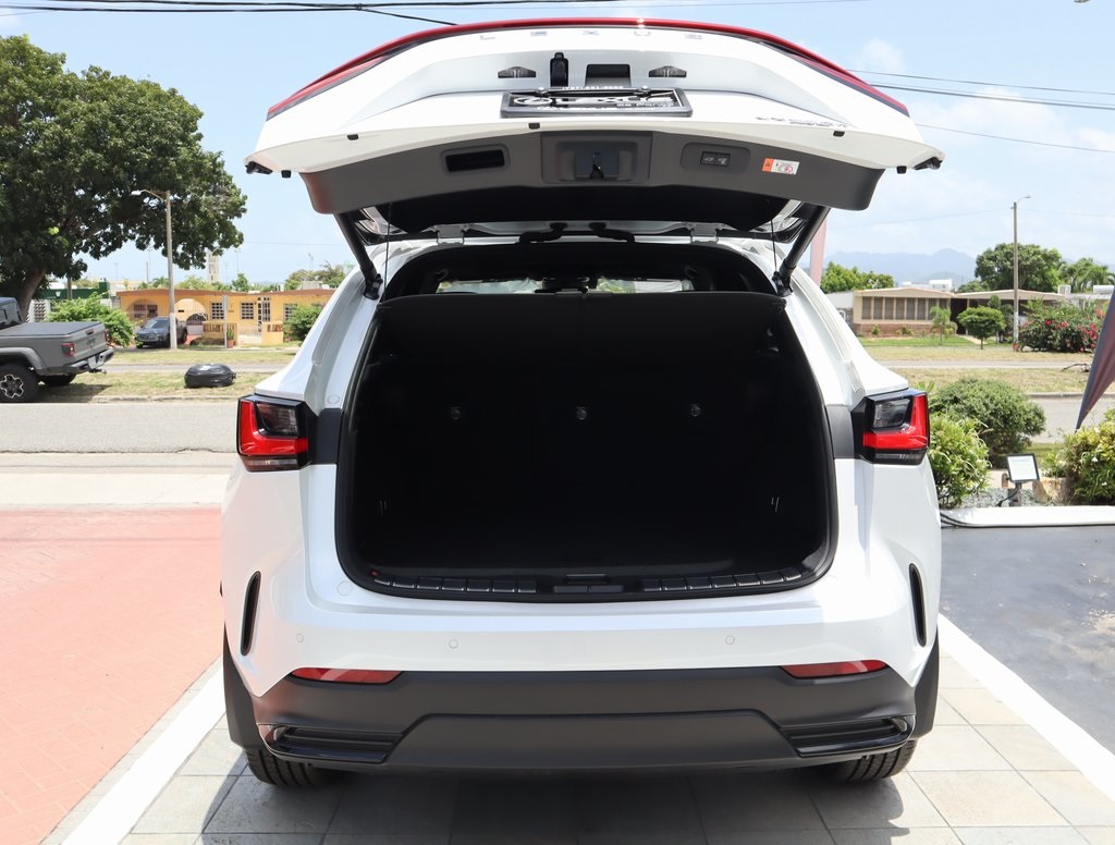 Thumbnail: 2025 Lexus NX - 26