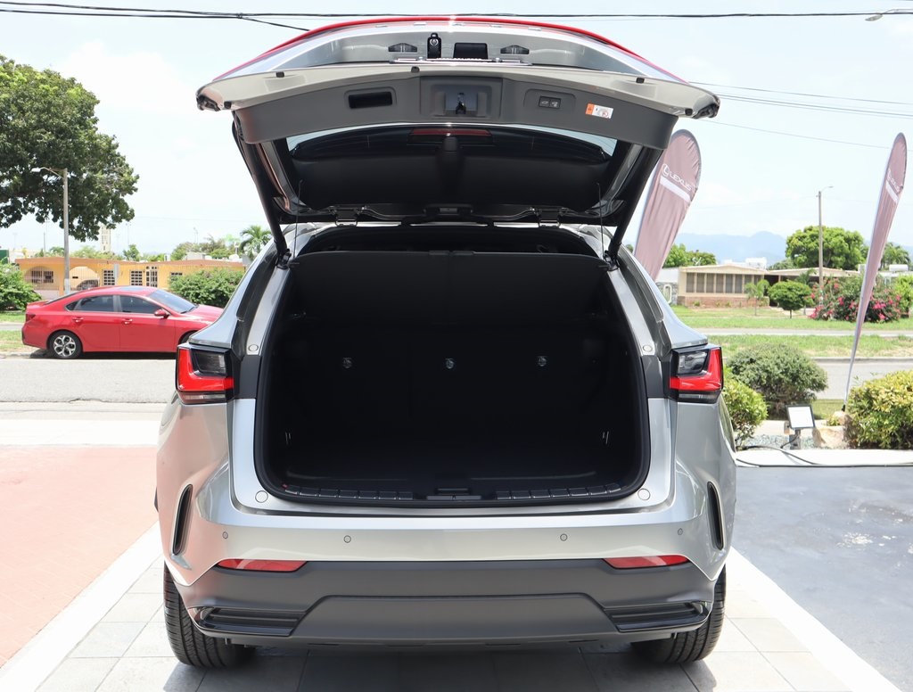 Thumbnail: 2025 Lexus NX - 21