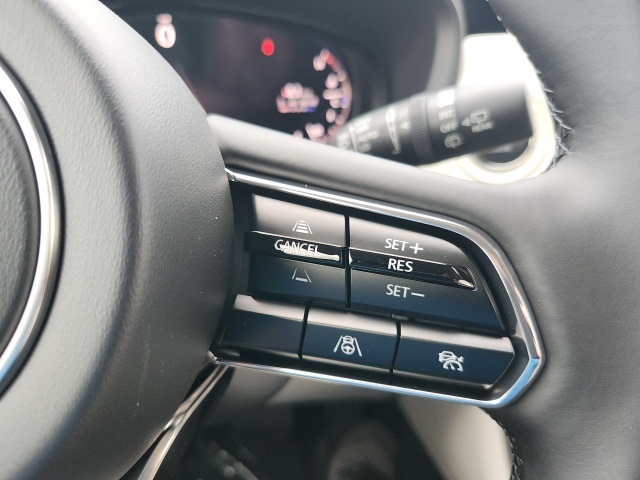 2026 Mazda CX-90 Premium Plus Red at Mazda of Columbia