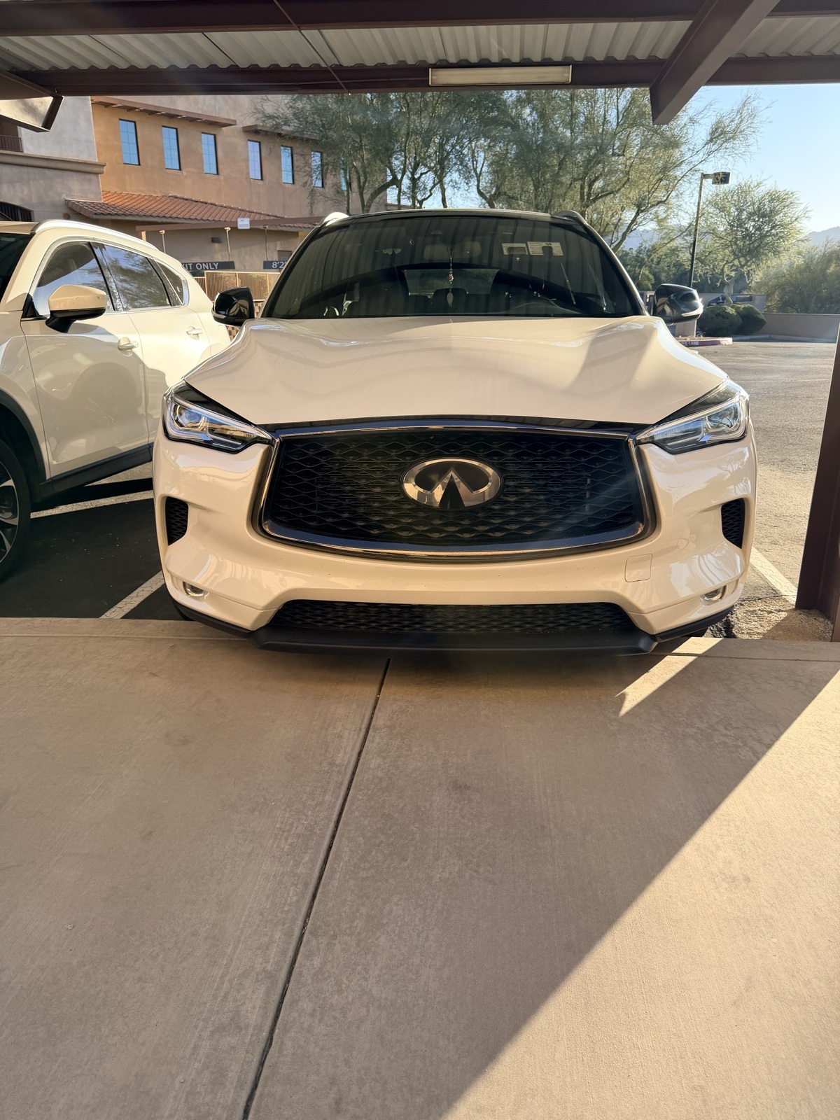 2021 INFINITI QX50 LUXE