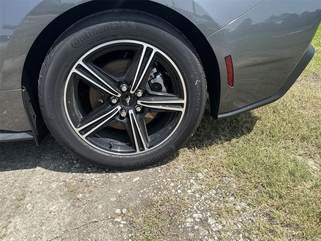 2025 Ford Mustang EcoBoost - 8