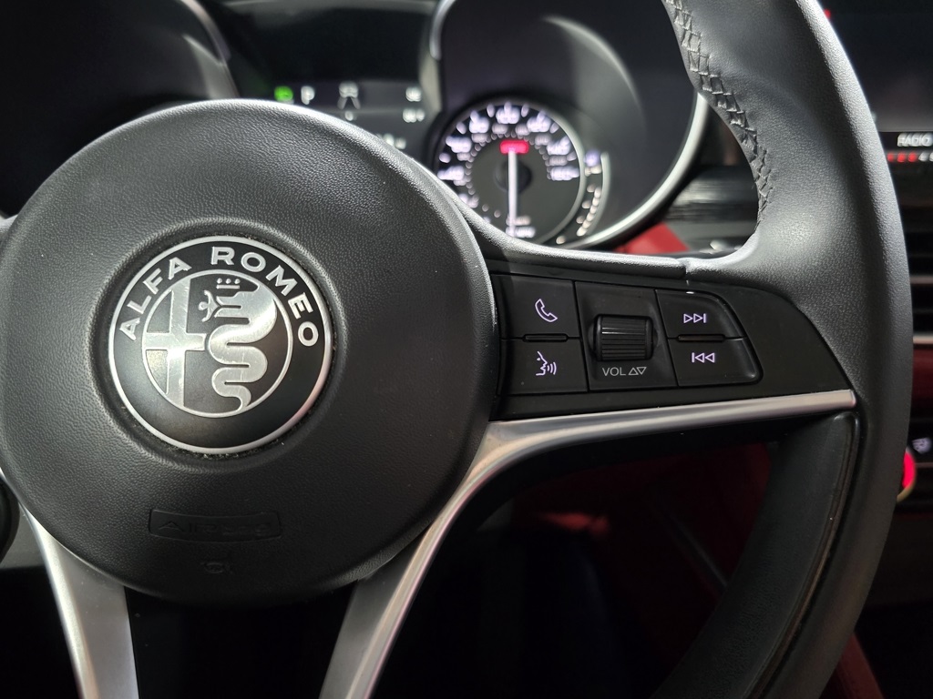 Thumbnail: 2019 Alfa Romeo Stelvio - 17