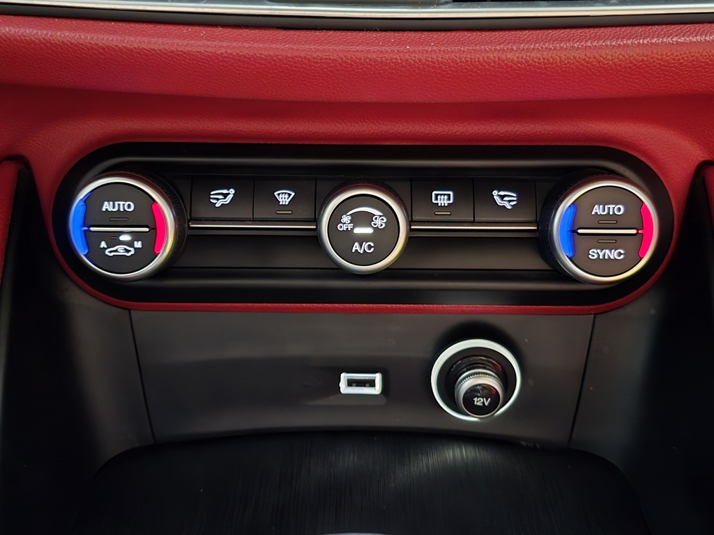 Thumbnail: 2019 Alfa Romeo Stelvio - 22