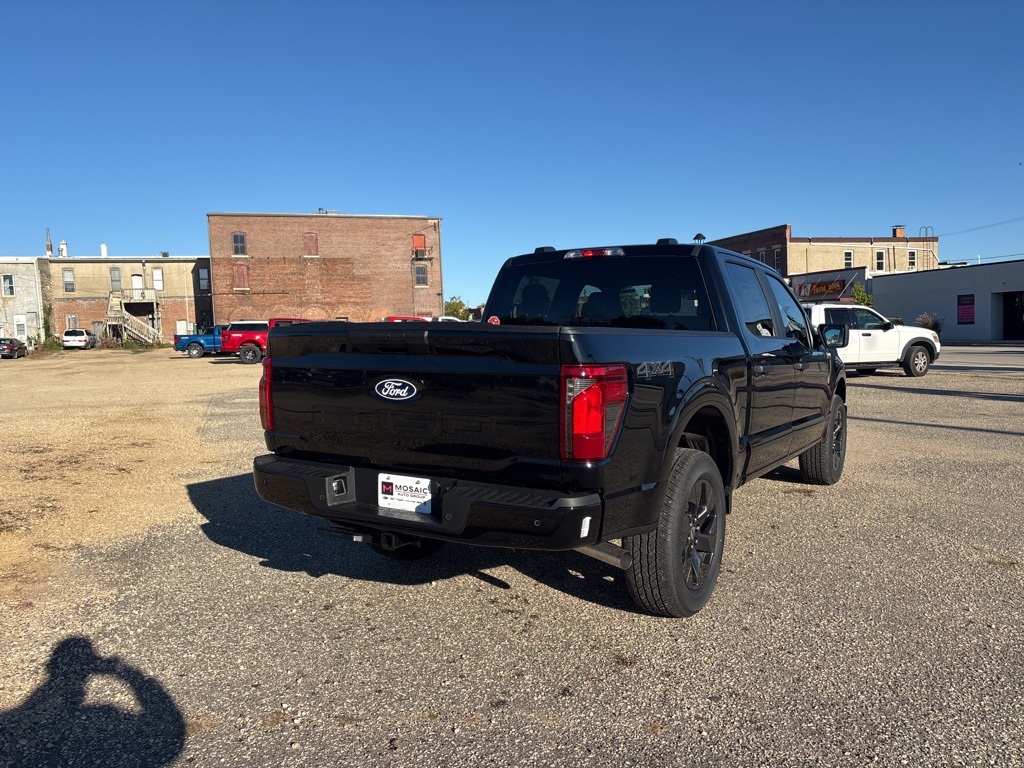2025 Ford F-150 STX photo 3