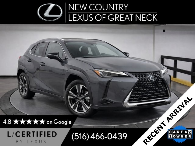 2024 Lexus UX Hybrid 250h Premium AWD