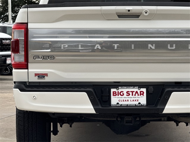 2023 Ford F-150 Platinum - 10
