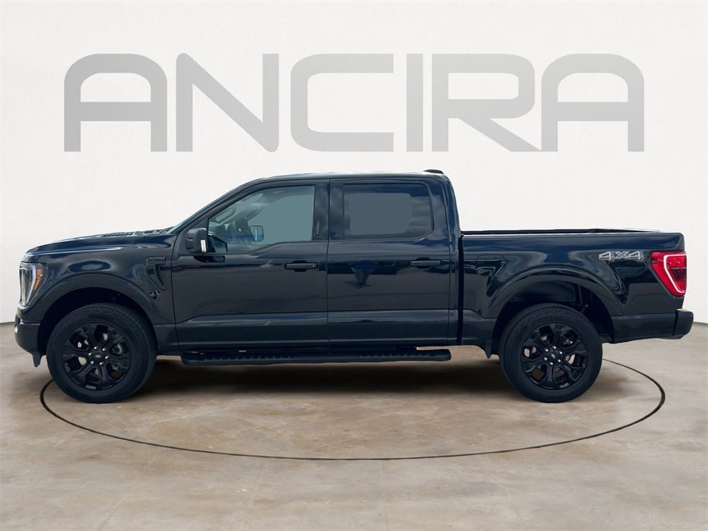 Used Car 2023 Ford F-150  Xlt For Sale Under $40,000 In Floresville, Texas