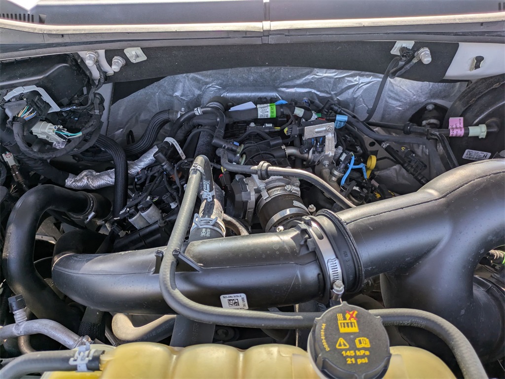 Used 2019 Ford F-150 For Sale in Findlay, OH