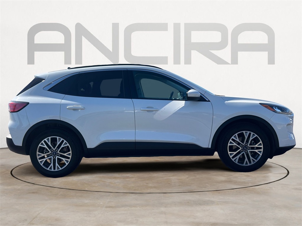 Used Car 2022 Ford Escape  Sel For Sale Under $20,000 In Floresville, Texas