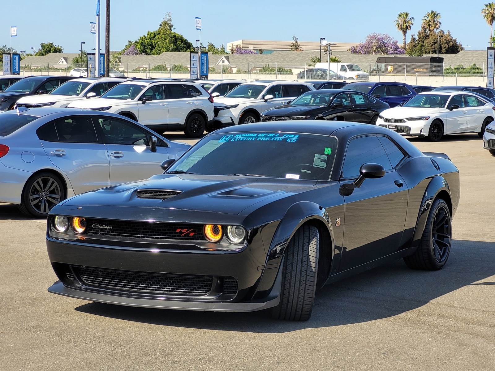 Car Picture
