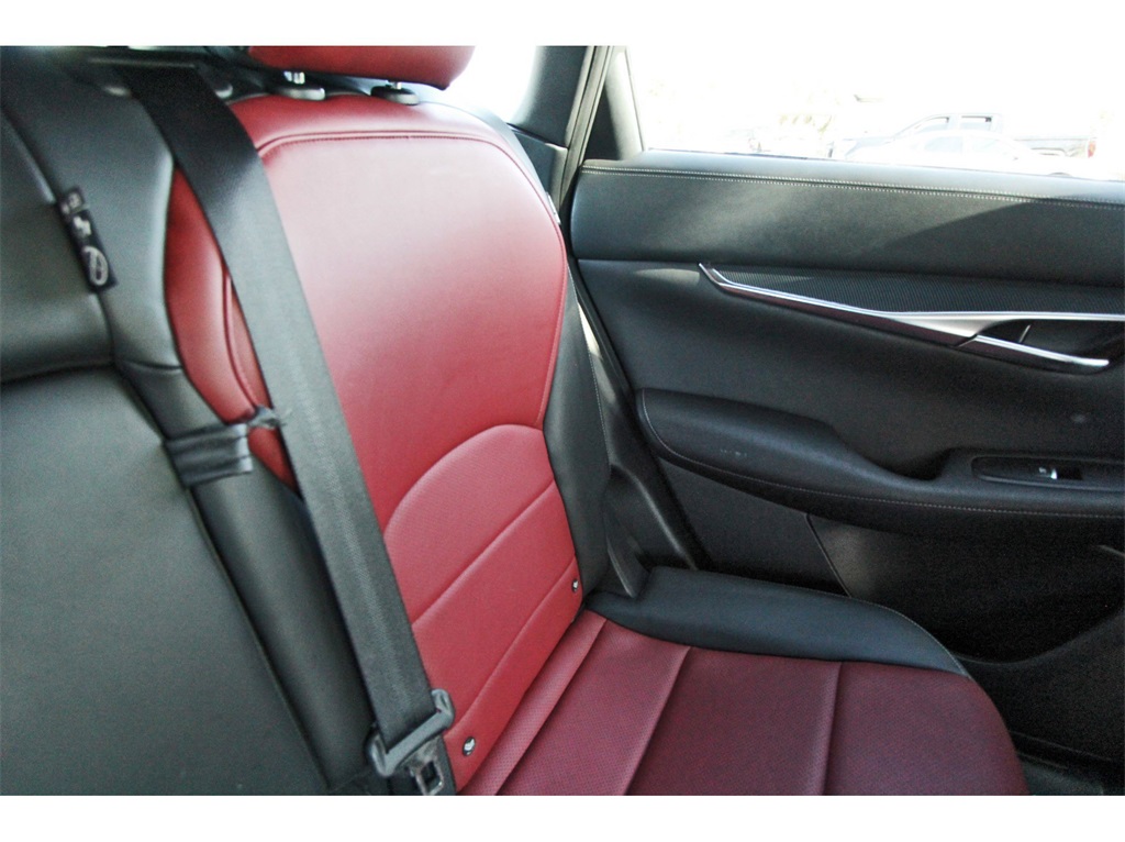 2023 INFINITI QX50 SPORT White at DeMontrond Automotive Group