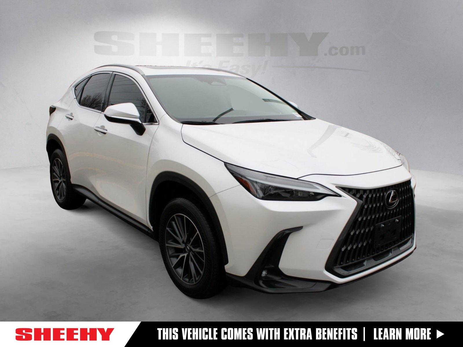 2024 Lexus NX 250 FWD