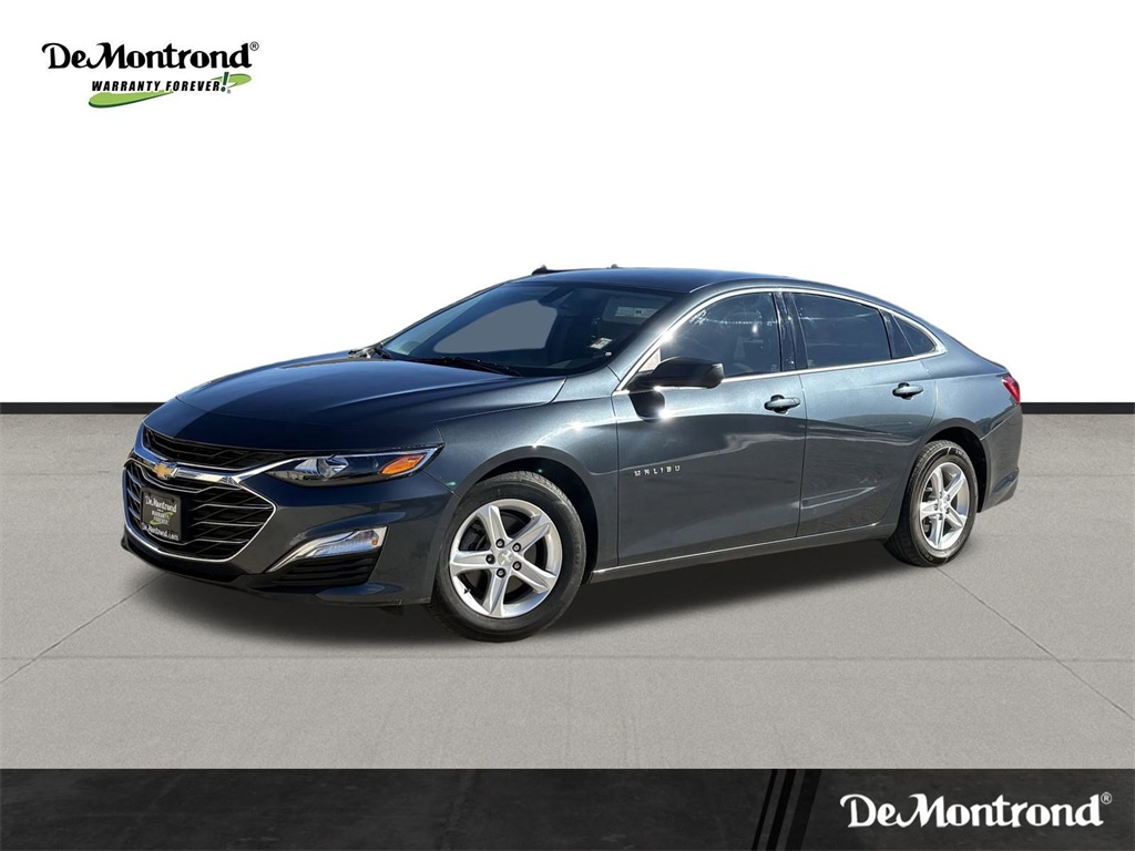2019 Chevrolet Malibu LS Gray at Durrett Motor Company