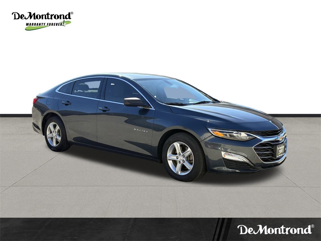 2019 Chevrolet Malibu LS Gray at Durrett Motor Company