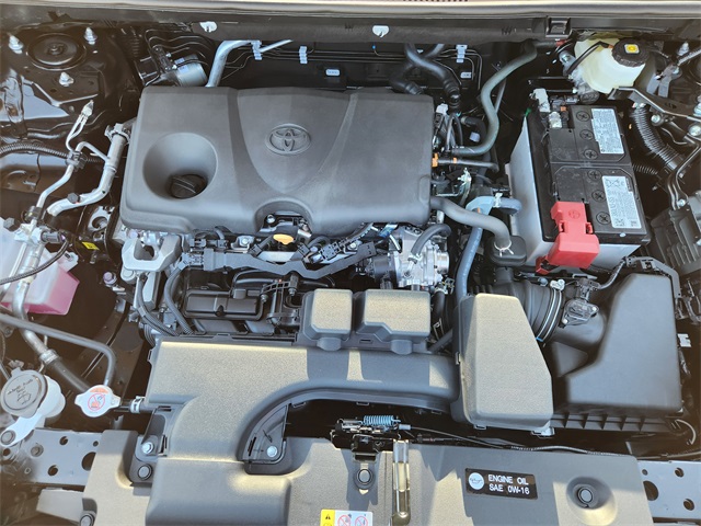 2025 Toyota RAV4 XLE Black at Don McGill Toyota