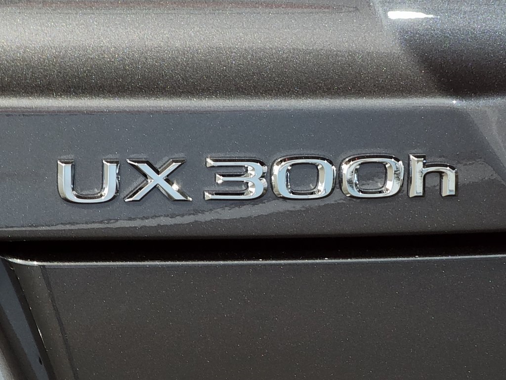 Thumbnail: 2025 Lexus UX - 11