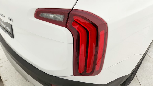 2022 Kia Telluride EX - 10