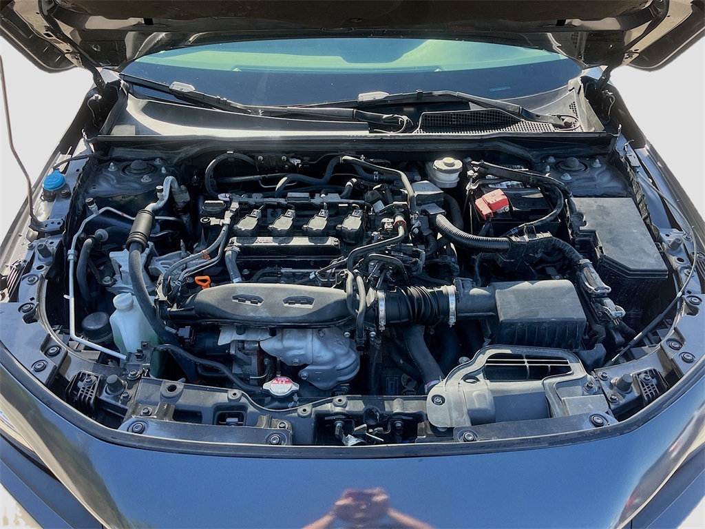 2024 Honda Civic EX-L Gray at Emmons Autoplex