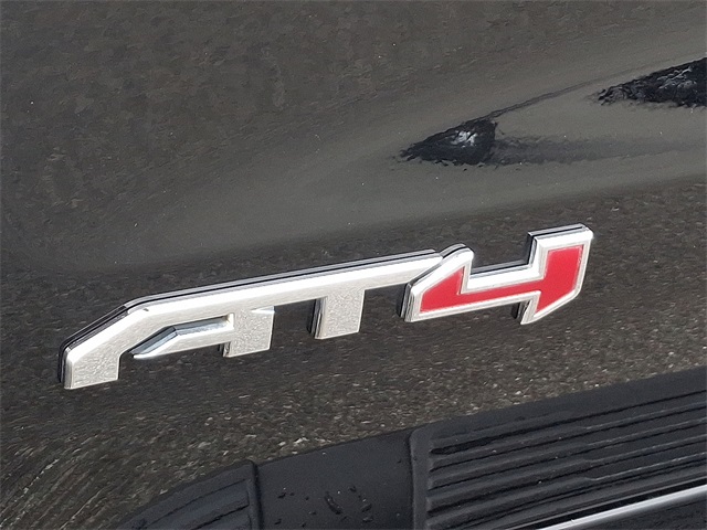 2019 GMC Sierra 1500 AT4 for sale at PATRIOT BUICK GMC OF BOYERTOWN